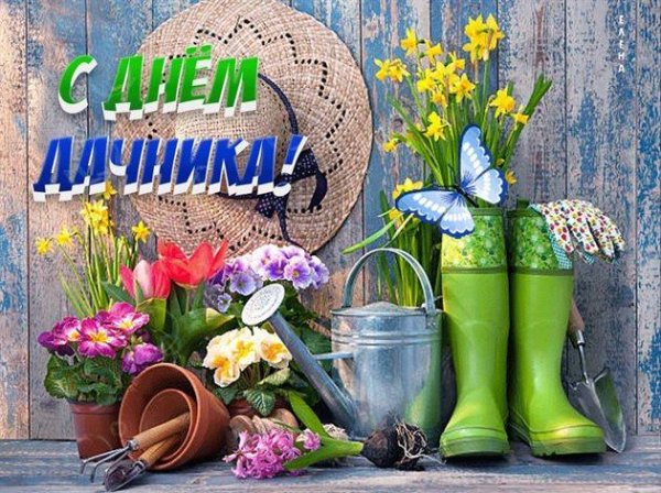 садовый инвентарь