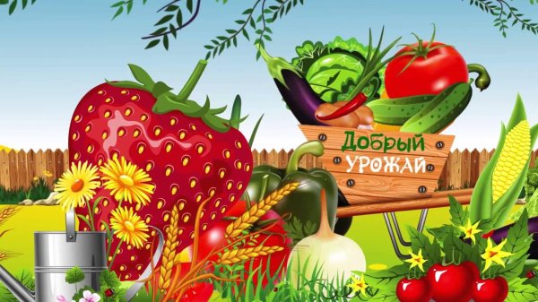 добрый урожай
