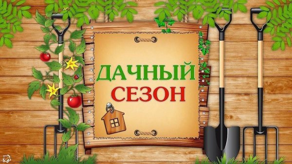 удачный сезон