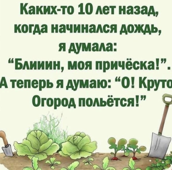 когда начнутся дожди