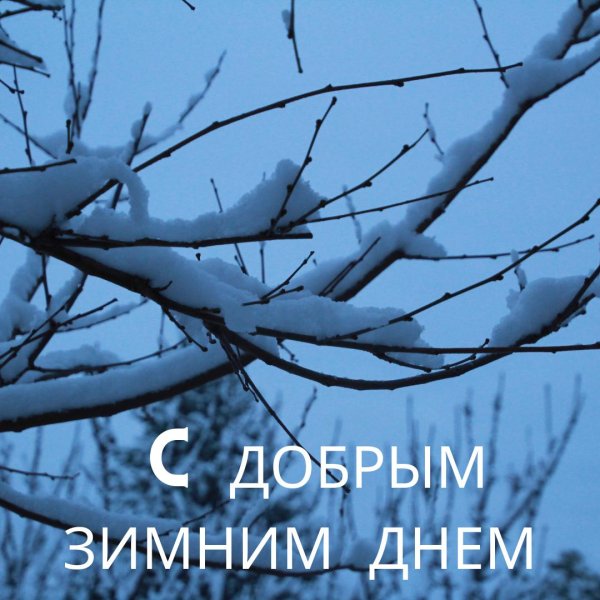 Доброго дня и хорошего настроения зимние