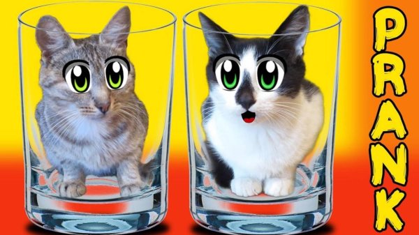 анука давайка