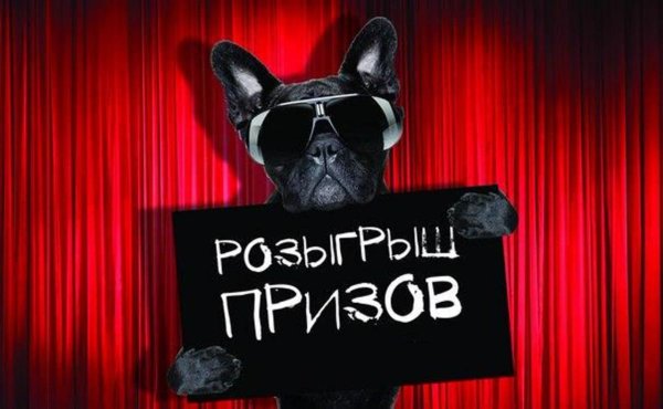 результат розыгрыша