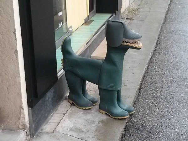 резиновые сапоги
