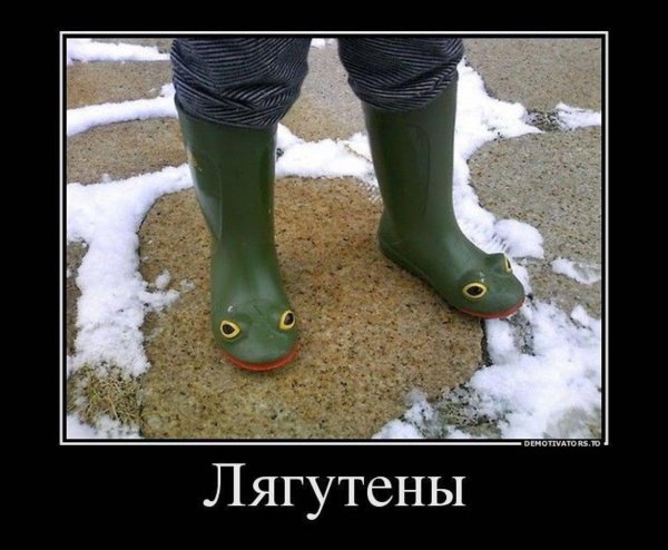 сапоги лягушки
