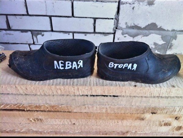 галоши адидас