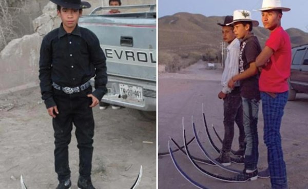 мексиканские сапоги гуачеро