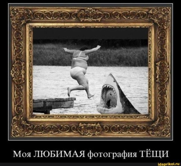 море юмор