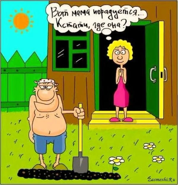 дачник карикатура