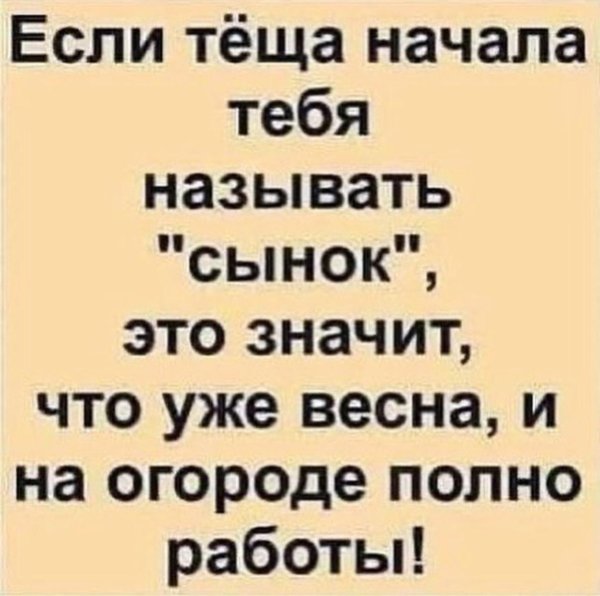 русская теща