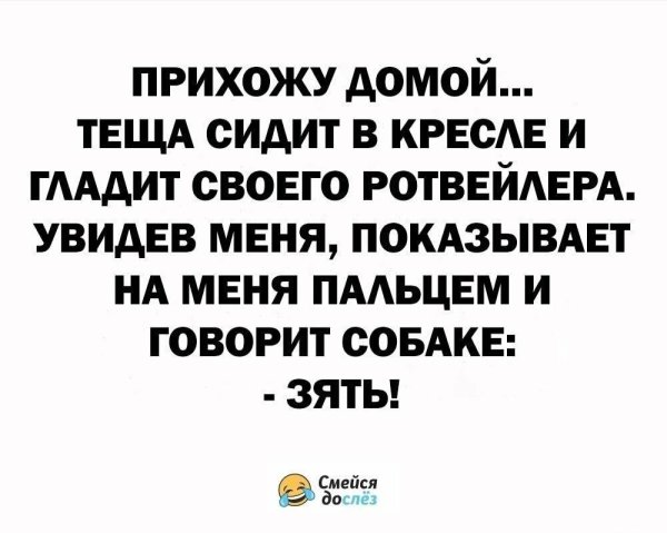 свежие анекдоты