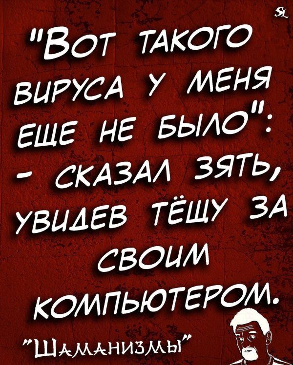 мудрая цитата