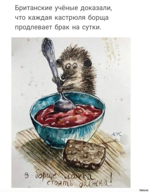 веселые высказывания