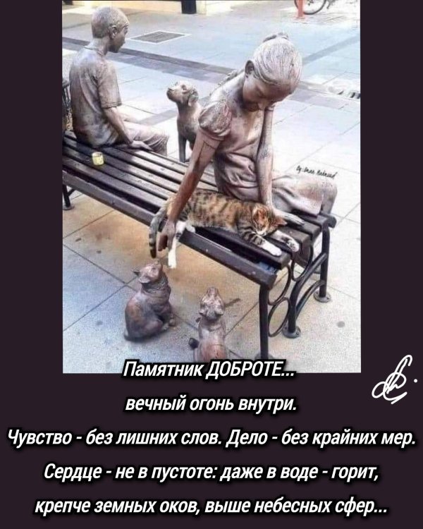 памятники кошкам