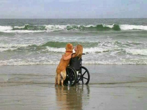 добрые поступки