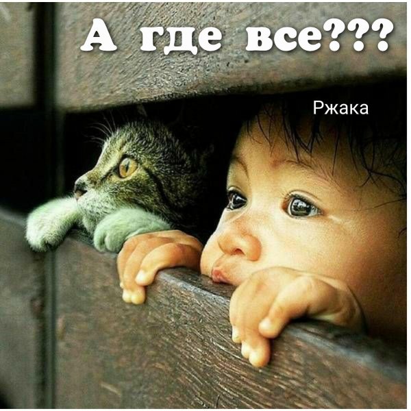 любопытный ребенок