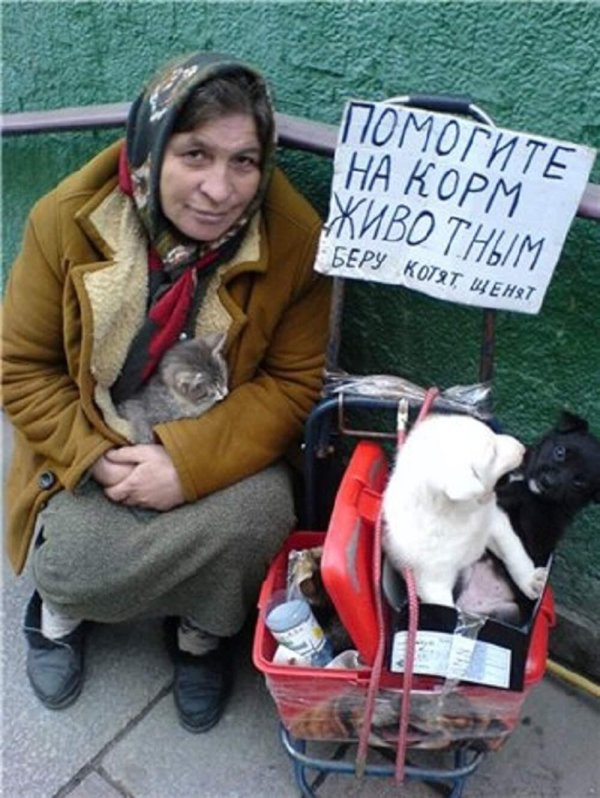 креативные попрошайки