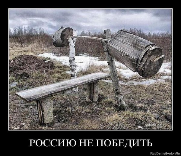 скамья в лесу