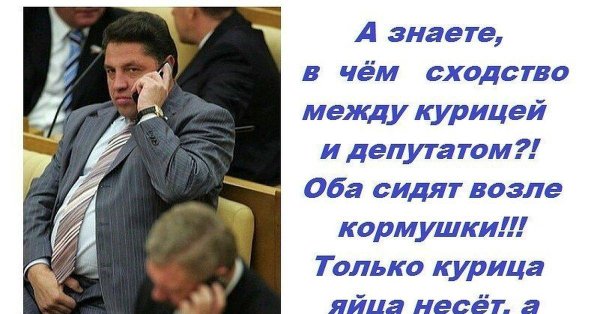 депутат госдумы