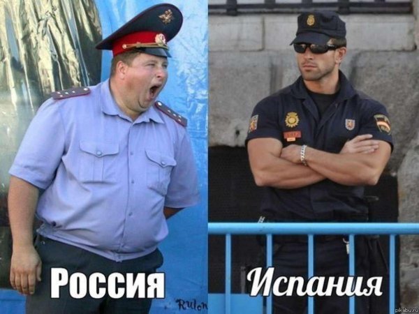 полицейский толстый