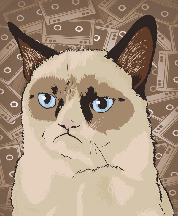 упоротые коты