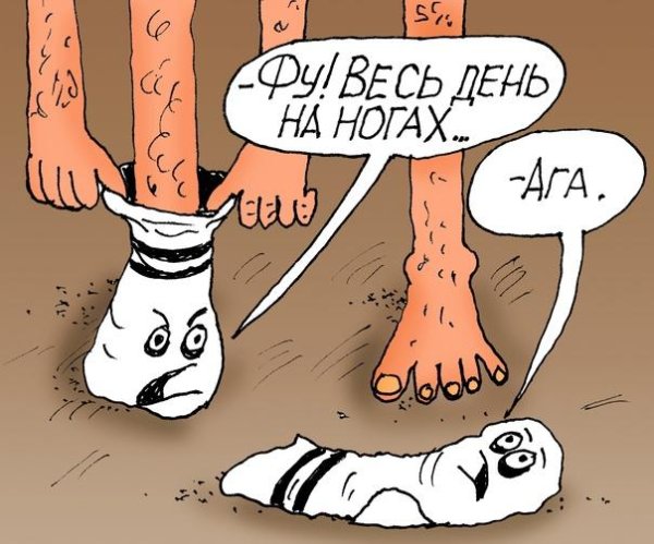 лучшие карикатуры