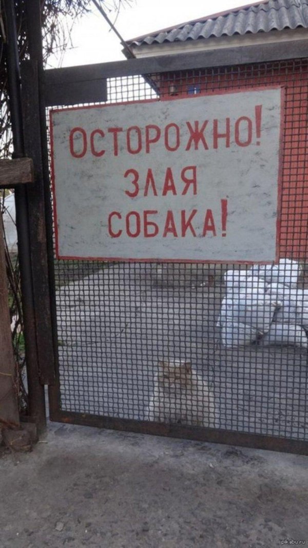 осторожно злая