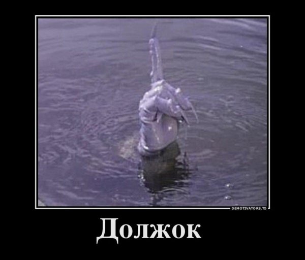 варваракраса длинная должок