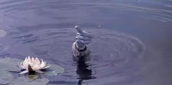 сказка должок