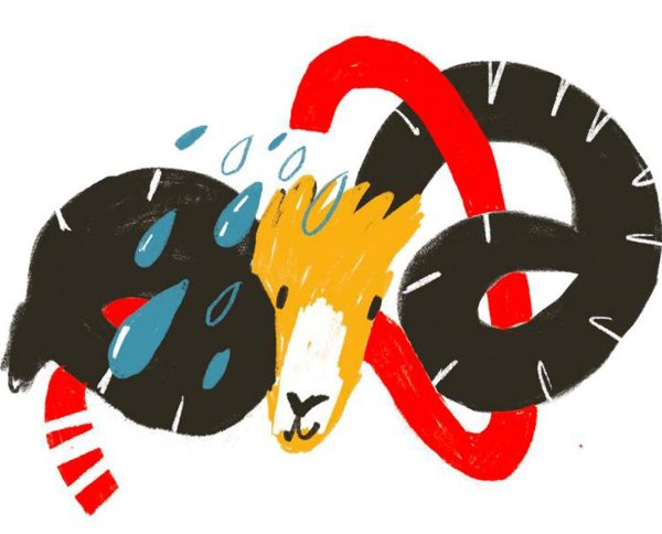 по гороскопу