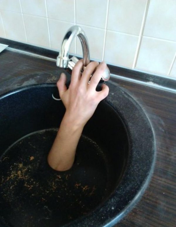 смешная раковина