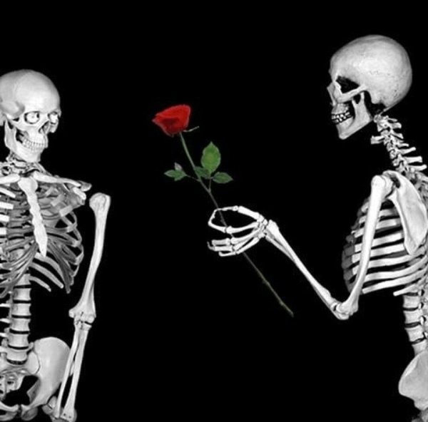 скелеты любовь