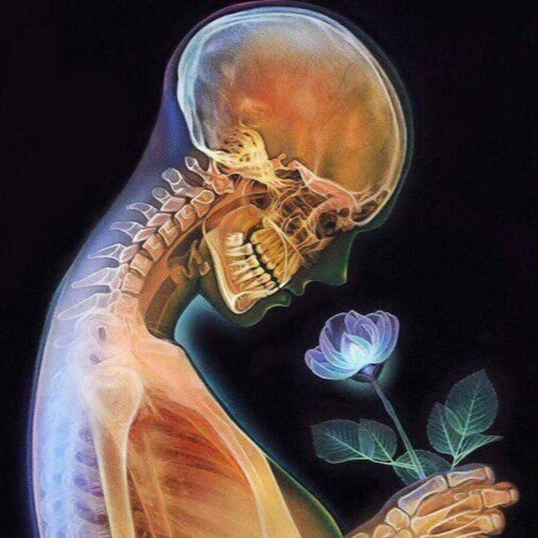 день рентгенолога