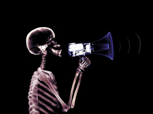 смешные рентгеновские снимки