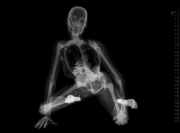 скелет девушка