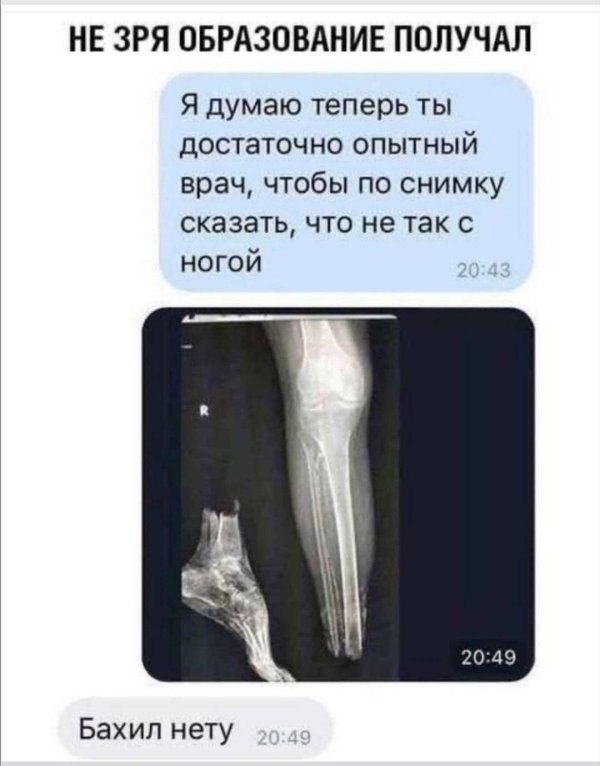 мемы и приколы