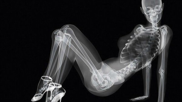 скелет девушка