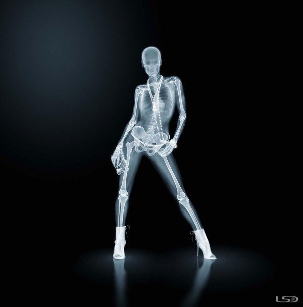 скелет девушка