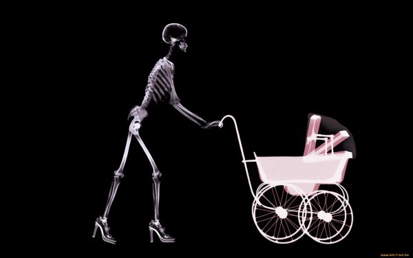 человеческий скелет