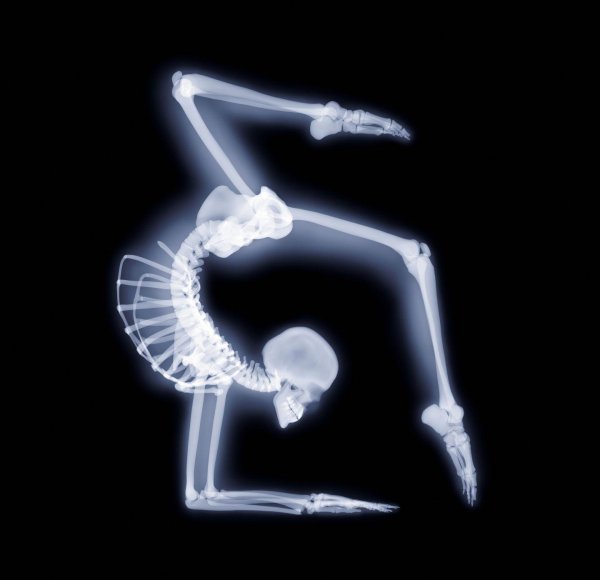 скелет позы