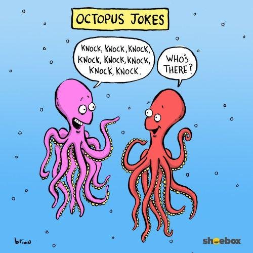 осьминоги рисунок