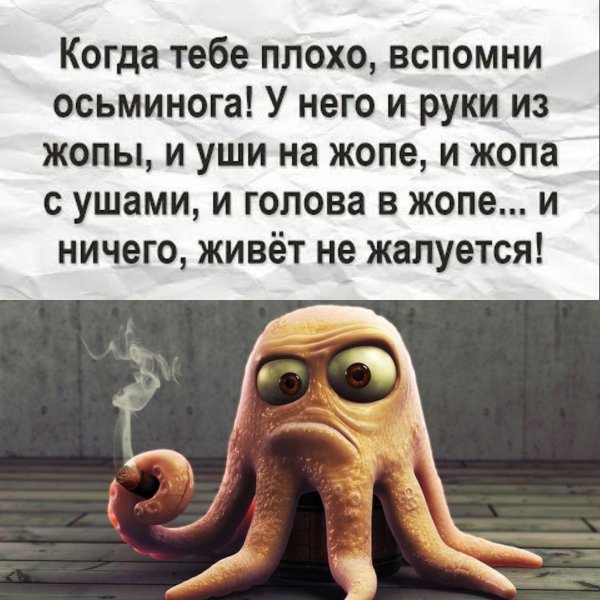 когда тебе плохо вспомни осьминога