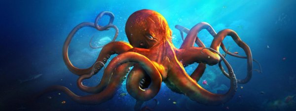 осьминог сон