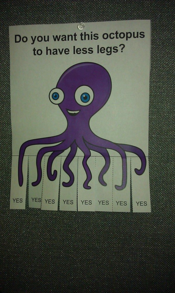 осьминог прикол