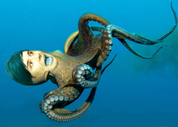 длиннощупальцевый спрут