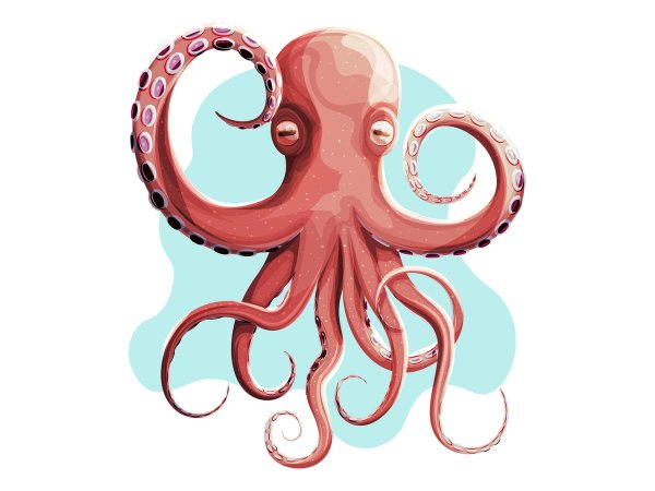 осьминоги рисунок