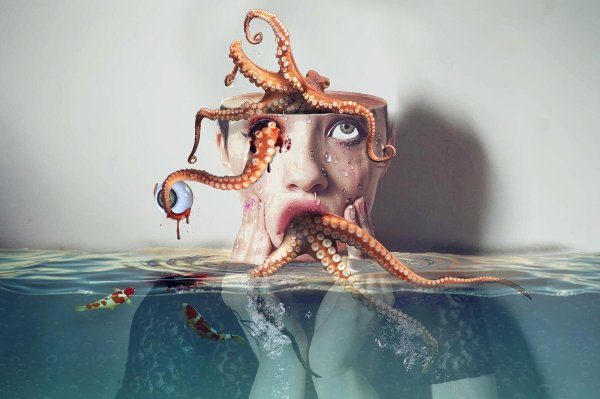 щупальца осьминога