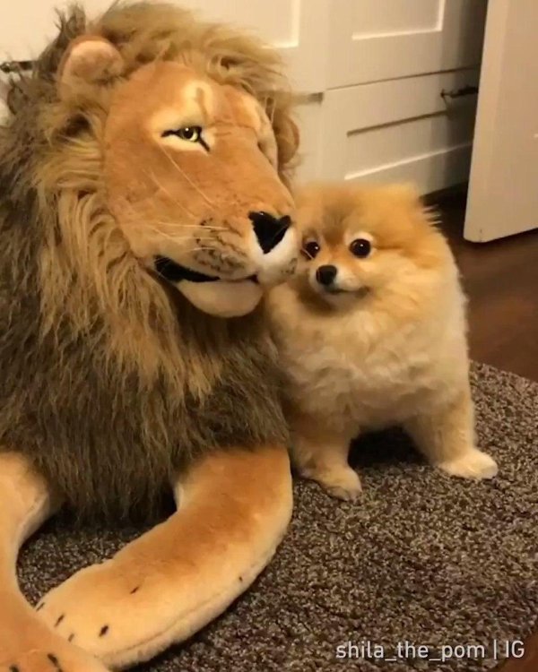 игрушка лев