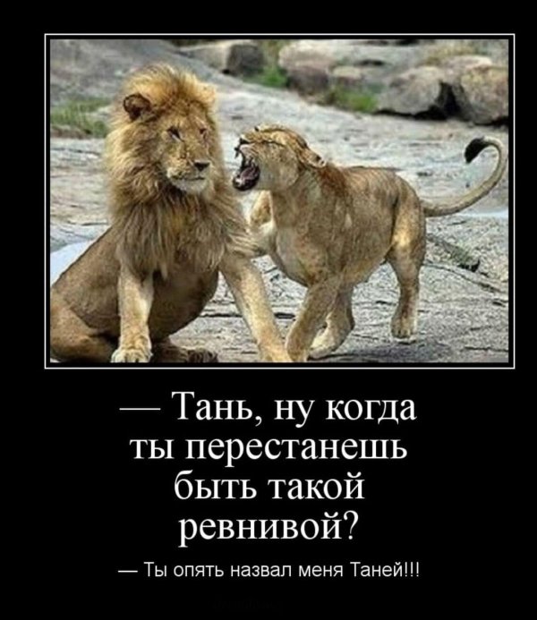 царь зверей