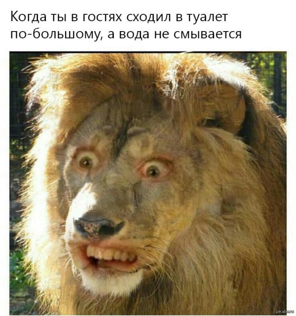 упоротый лев